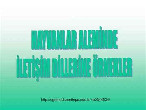 Yogada Kullanılan İletişim Dillerine Giriş: Gelişmiş Uyum Yöntemleri