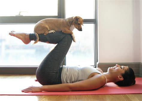 Yogayı Evcil Hayvanınızla Birleştirin: Pet Yoga Uygulamaları